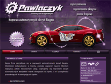 Tablet Screenshot of pawlaczyk-skrzynie.pl
